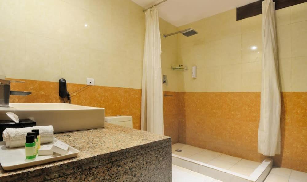 Zenith Hotel - Delhi Airport New Delhi Luaran gambar