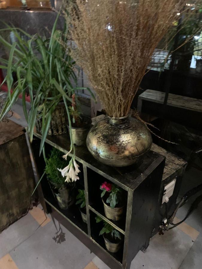 Zenith Hotel - Delhi Airport New Delhi Luaran gambar